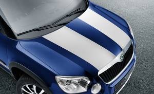 Dekorfolie für die Motorhaube - Hell