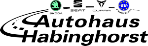 Z.MYUKI 【6 Farben】 Enyaq Coupe RS Schlüsselhülle mit Schlüsselanhänger für  Skoda Enyaq iV 2020-2022 2023 Zubehör Original (Grün)